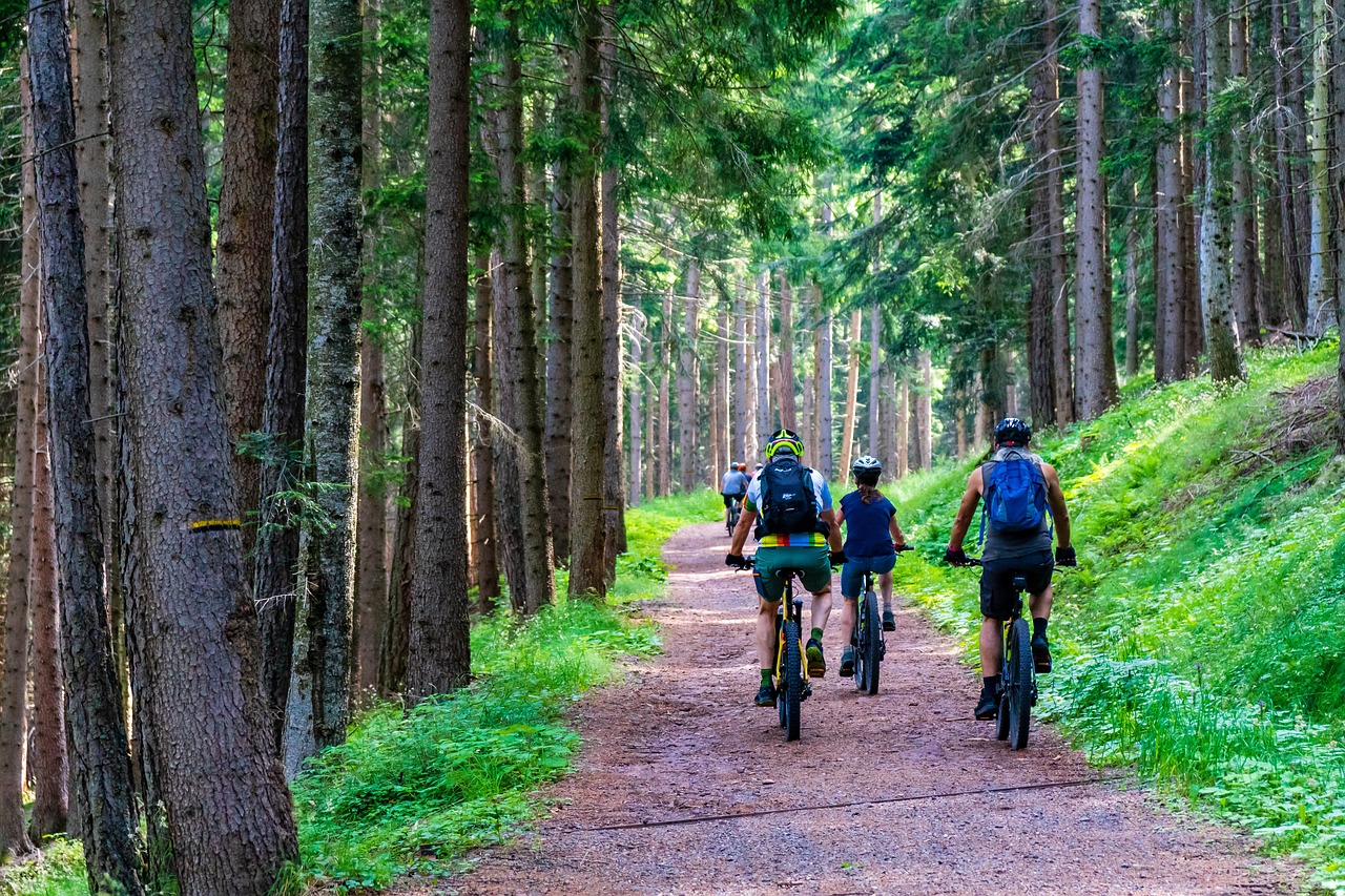 Radfahrer auf einem Weg im Wald