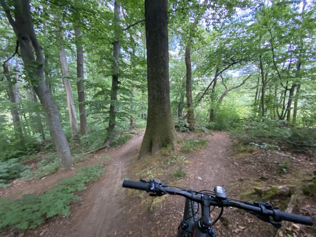 Radfahrer auf einem Trail im Wald